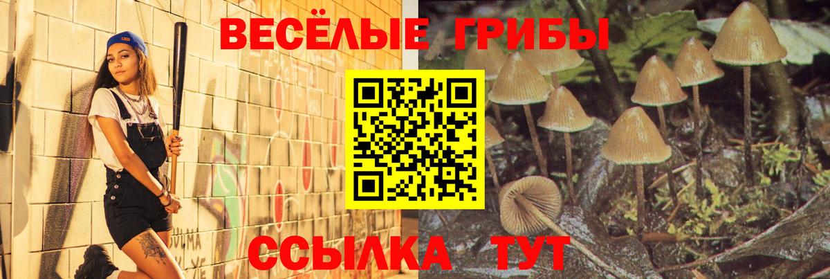 Псилоцибиновые грибы Psilocybine cubensis Щёлково